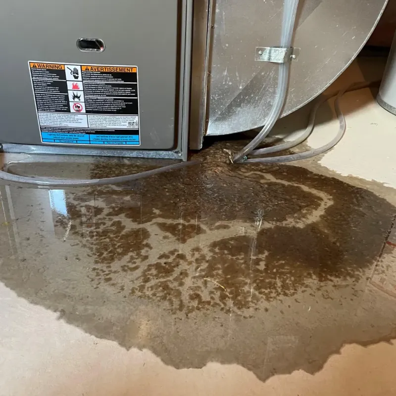 Appliance Leak Cleanup in Estill, SC